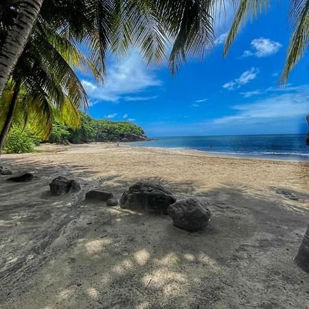 Les Hauts De Bornave Vila Deshaies Exterior foto