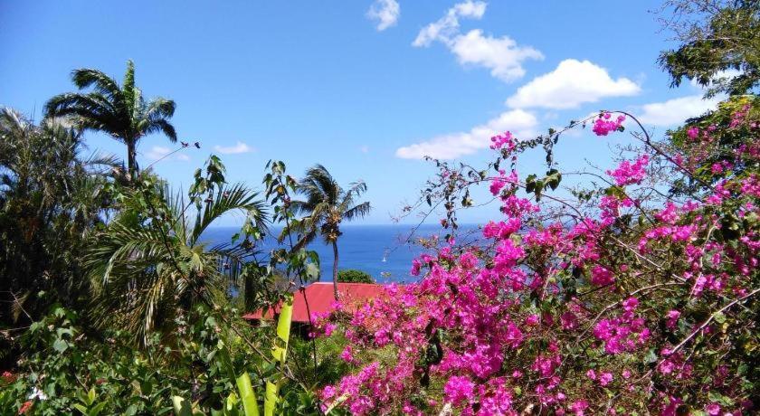 Les Hauts De Bornave Vila Deshaies Exterior foto